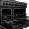 48 In. 6.7 Cu. Ft. Paramount Double Oven Dual Fuel Range With 8 Burner Gas Cooktop In Black Stainless Steel