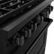 36 In. 5.2 Cu. Ft. Paramount Dual Fuel Range With Gas Cooktop And Electric Convection Oven In Black Stainless Steel With 6 Brass Burners