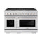48 In. 6.7 Cu. Ft. Paramount Double Oven Dual Fuel Range In Stainless Steel With 8 Brass Burners