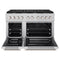 48 In. 6.7 Cu. Ft. Paramount Double Oven Dual Fuel Range In Stainless Steel With 8 Brass Burners