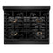 Autograph Edition 30 In. 4.2 Cu. Ft. Paramount Dual Fuel Range With 4 Burner Gas Cooktop And Electric Convection Oven In Black Stainless Steel With Champagne Bronze Accents