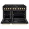 Autograph Edition 48 In. 6.7 Cu. Ft. Paramount Double Oven Dual Fuel Range With 8 Burner Gas Cooktop In Black Stainless Steel And Polished Gold Accents