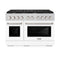48 In. 6.7 Cu. Ft. Paramount Double Oven Dual Fuel Range With 8 Burner Gas Cooktop In Stainless Steel With White Matte Doors