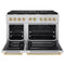 Autograph Edition 48 In. 6.7 Cu. Ft. Paramount Double Oven Dual Fuel Range With 8 Burner Gas Cooktop In Stainless Steel And Champagne Bronze Accents