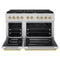 Autograph Edition 48 In. 6.7 Cu. Ft. Paramount Double Oven Dual Fuel Range With 8 Burner Gas Cooktop In Stainless Steel And Polished Gold Accents