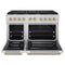 Autograph Edition 48 In. 6.7 Cu. Ft. Paramount Double Oven Dual Fuel Range With 8 Burner Gas Cooktop In Stainless Steel And Champagne Bronze Helix Handles And Knob Accents