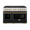 Autograph Edition 48 In. 6.7 Cu. Ft. Paramount Double Oven Dual Fuel Range With 8 Burner Gas Cooktop In Stainless Steel With Black Matte Doors And Polished Gold Accents