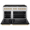 Autograph Edition 48 In. 6.7 Cu. Ft. Paramount Double Oven Dual Fuel Range With 8 Burner Gas Cooktop In Stainless Steel With Black Matte Doors And Polished Gold Accents