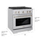 30 In. 4.2 Cu. Ft. Paramount Gas Range With 4 Burner Cooktop And Convection Gas Oven In Stainless Steel
