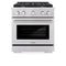 30 In. 4.2 Cu. Ft. Paramount Gas Range With 4 Burner Cooktop And Convection Gas Oven In Stainless Steel