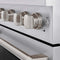 30 In. 4.2 Cu. Ft. Paramount Gas Range With 4 Burner Cooktop And Convection Gas Oven In Stainless Steel