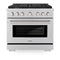 36 In. 5.2 Cu. Ft. Paramount Gas Range With 6 Burner Cooktop And Convection Gas Oven In Stainless Steel