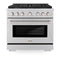 36 In. 5.2 Cu. Ft. Paramount Gas Range With 6 Burner Cooktop And Convection Gas Oven In Stainless Steel