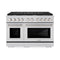 48 In. 6.7 Cu. Ft. Paramount Double Oven Gas Range With 8 Burner Cooktop In Stainless Steel