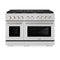 48 In. 6.7 Cu. Ft. Paramount Double Oven Gas Range With 8 Burner Cooktop In Stainless Steel