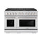 48 In. 6.7 Cu. Ft. Paramount Double Oven Gas Range With 8 Burner Cooktop In Stainless Steel