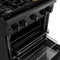 30 In. 4.2 Cu. Ft. Paramount Gas Range With 4 Burner Cooktop And Convection Gas Oven In Black Stainless Steel