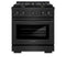 30 In. 4.2 Cu. Ft. Paramount Gas Range With Convection Gas Oven In Black Stainless Steel With 4 Brass Burners