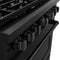 36 In. 5.2 Cu. Ft. Paramount Gas Range With Convection Gas Oven In Black Stainless Steel With 6 Brass Burners