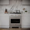 30 In. 4.2 Cu. Ft. Paramount Gas Range With Convection Gas Oven In Stainless Steel With 4 Brass Burners