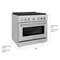 36 In. 5.2 Cu. Ft. Paramount Gas Range With Convection Gas Oven In Stainless Steel With 6 Brass Burners