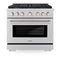 36 In. 5.2 Cu. Ft. Paramount Gas Range With Convection Gas Oven In Stainless Steel With 6 Brass Burners