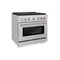 36 In. 5.2 Cu. Ft. Paramount Gas Range With Convection Gas Oven In Stainless Steel With 6 Brass Burners