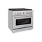 36 In. 5.2 Cu. Ft. Paramount Gas Range With Convection Gas Oven In Stainless Steel With 6 Brass Burners