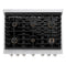 36 In. 5.2 Cu. Ft. Paramount Gas Range With Convection Gas Oven In Stainless Steel With 6 Brass Burners
