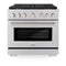 36 In. 5.2 Cu. Ft. Paramount Gas Range With Convection Gas Oven In Stainless Steel With 6 Brass Burners
