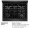 Autograph Edition 30 In. 4.2 Cu. Ft. Paramount Gas Range With 4 Burner Cooktop And Convection Gas Oven In Black Satin Stainless Steel And Champagne Bronze Accents