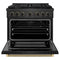 Designer Collection 36 In. 5.2 Cu. Ft. Paramount Gas Range With 6 Burner Cooktop And Convection Gas Oven In Black Satin Stainless Steel With Matte Black And Champagne Bronze Accents