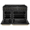 Designer Collection 48 In. 6.7 Cu. Ft. Paramount Double Oven Gas Range With 8 Burner Cooktop In Black Satin Stainless Steel With Matte Black And Champagne Bronze Accents