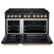 Autograph Edition 48 In. 6.7 Cu. Ft. Paramount Double Oven Gas Range With 8 Burner Cooktop In Black Stainless Steel And Polished Gold Accents