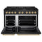Autograph Edition 48 In. 6.7 Cu. Ft. Paramount Double Oven Gas Range With 8 Burner Cooktop In Black Stainless Steel And Polished Gold Accents