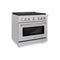 36 In. 5.2 Cu. Ft. Paramount Gas Range With Convection Gas Oven In Satin Stainless Steel With 6 Brass Burners