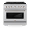 36 In. 5.2 Cu. Ft. Paramount Gas Range With Convection Gas Oven In Satin Stainless Steel With 6 Brass Burners