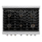 36 In. 5.2 Cu. Ft. Paramount Gas Range With Convection Gas Oven In Satin Stainless Steel With 6 Brass Burners