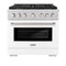 36 In. 5.2 Cu. Ft. Paramount Gas Range With 6 Burner Cooktop And Convection Gas Oven In Stainless Steel With White Matte Door