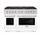 48 In. 6.7 Cu. Ft. Paramount Double Oven Gas Range With 8 Burner Cooktop In Stainless Steel With White Matte Doors