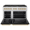 Autograph Edition 48 In. 6.7 Cu. Ft. Paramount Double Oven Gas Range With 8 Burner Cooktop In Stainless Steel With Black Matte Doors And Polished Gold Accents