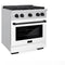 Autograph Edition 30 In. 4.2 Cu. Ft. Paramount Gas Range With 4 Burner Cooktop And Convection Gas Oven In Stainless Steel With White Matte Door And Matte Black Accents