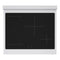 30 In. 4.2 Cu. Ft. Paramount Induction Range With 4 Element Cooktop And Electric Convection Oven In Stainless Steel
