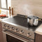 36 In. 5.2 Cu. Ft. Paramount Induction Range With 5 Element Cooktop And Electric Convection Oven In Stainless Steel