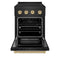Autograph Edition 24 In. 3.2 Cu. Ft. Paramount Induction Range With 3 Element Cooktop And Electric Convection Oven In Black Stainless Steel With Champagne Bronze Accents