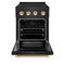 Autograph Edition 24 In. 3.2 Cu. Ft. Paramount Induction Range With 3 Element Cooktop And Electric Convection Oven In Black Stainless Steel With Polished Gold Accents
