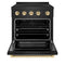 Autograph Edition 30 In. 4.2 Cu. Ft. Paramount Induction Range With 4 Element Cooktop And Electric Convection Oven In Black Stainless Steel With Polished Gold Accents