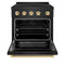 Autograph Edition 30 In. 4.2 Cu. Ft. Paramount Induction Range With 4 Element Cooktop And Electric Convection Oven In Black Stainless Steel With Polished Gold Accents