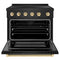 Autograph Edition 36 In. 5.2 Cu. Ft. Paramount Induction Range With 5 Element Cooktop And Electric Convection Oven In Black Stainless Steel With Polished Gold Accents