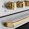 Autograph Edition 24 In. 3.2 Cu. Ft. Paramount Induction Range With 3 Element Cooktop And Electric Convection Oven In Satin Stainless Steel With Polished Gold Accents